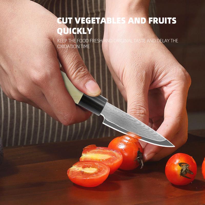 3.5inch Damascus Fruit Knife 67 Layers Damascus Steel Kitchen Knives Slicing Paring Knife