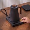 Smart Electric Gooseneck Kettle