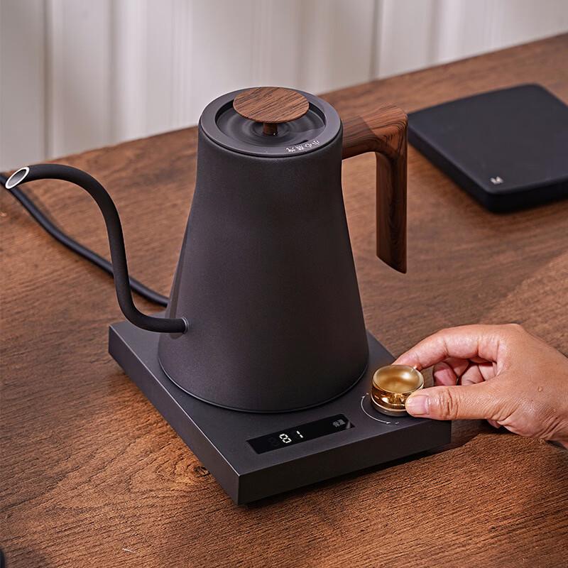 Smart Electric Gooseneck Kettle
