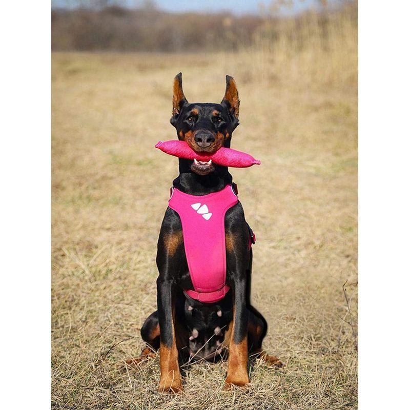 5D DIY Diamant Malerei Hund voller Runde Diamant Stickerei Tier Mosaik Strass Kit Dekor für Zuhause