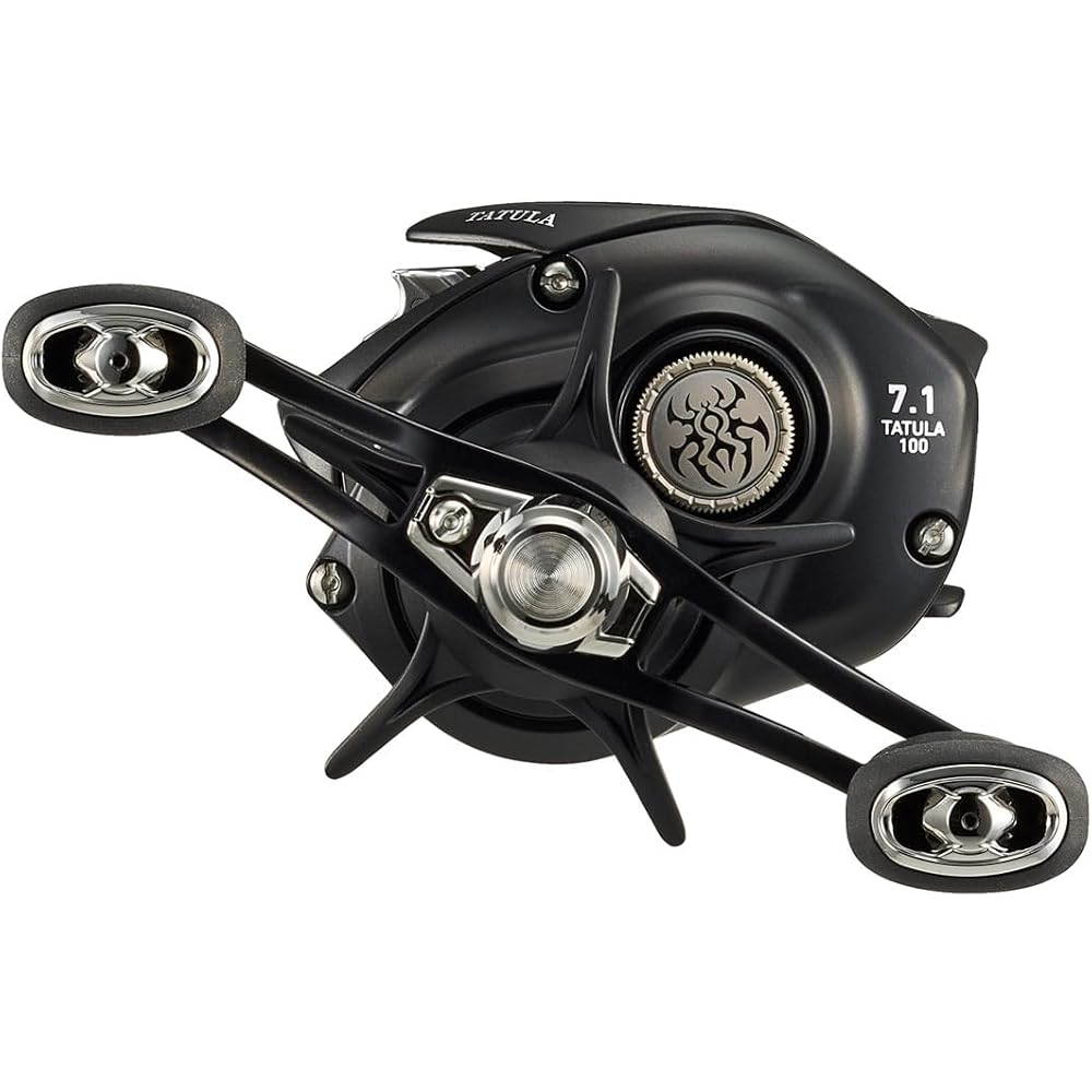Daiwa (DAIWA) Bait Reel 24TW 100HL