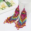 Bohemian Hook Party Tassel Earrings Drop Long Jewelry Gift