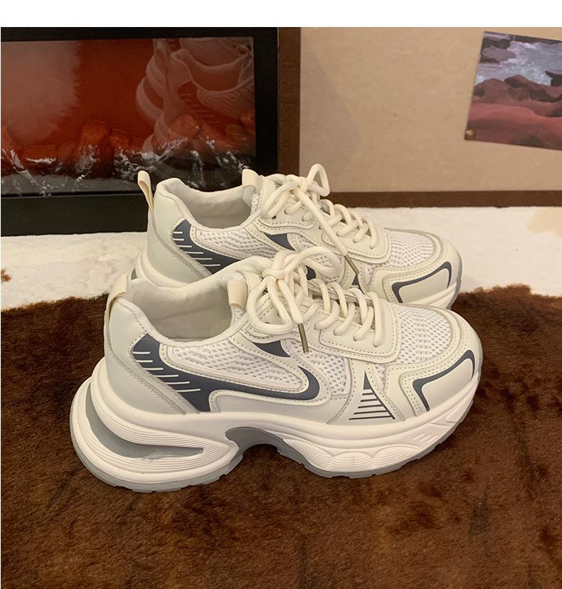 Height-increasing retro student lightweight platform sneakers women's 2025 new autumn and winter models versatile little dad shoes