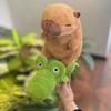 Riding Crocodiles Capybara Anime Fluffty Toy Riding  Goose Capybara Plush Doll  Christmas