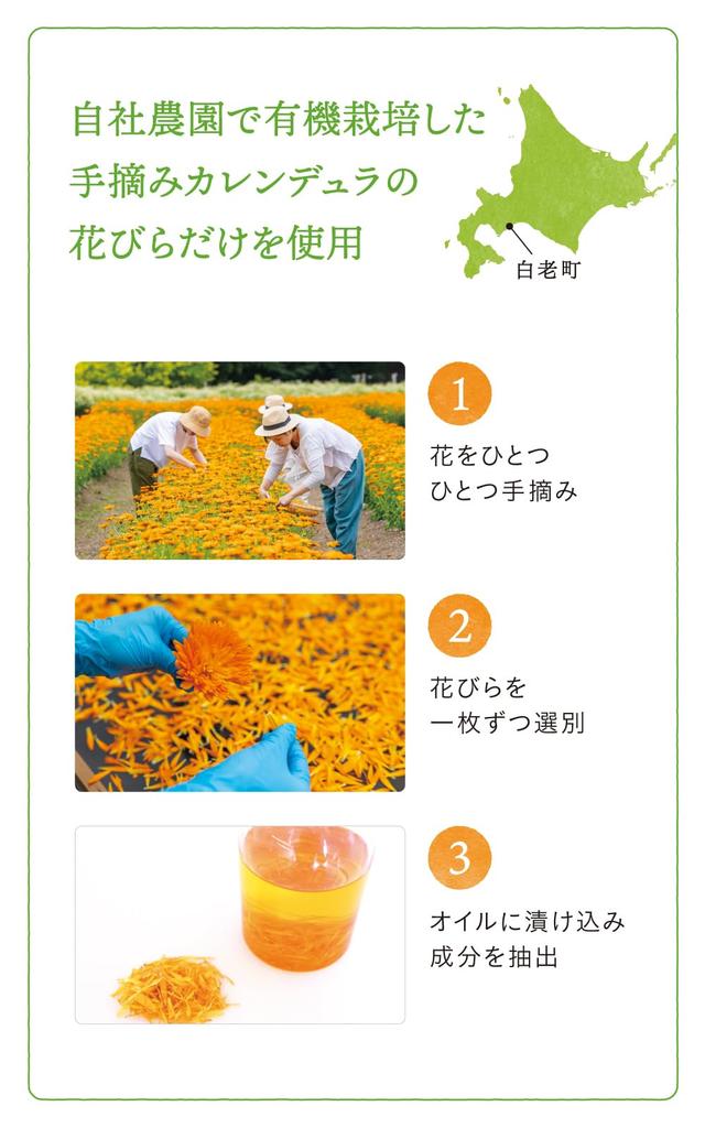 Natural Island Moisturizing and Hand Cream with Calendula Handmade, 45g, Gentle, Fragrance-Free