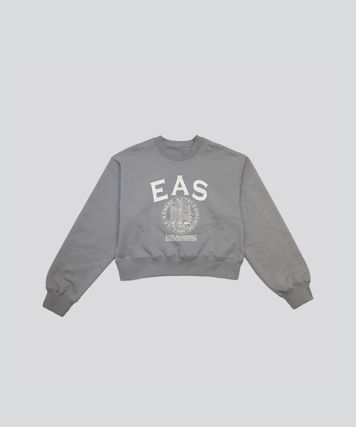 Толстовка Etosome Eas Logo (Серый) 2