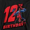 Spider-Man Childrens/Kids Pull Over 12th Birthday Hoodie
