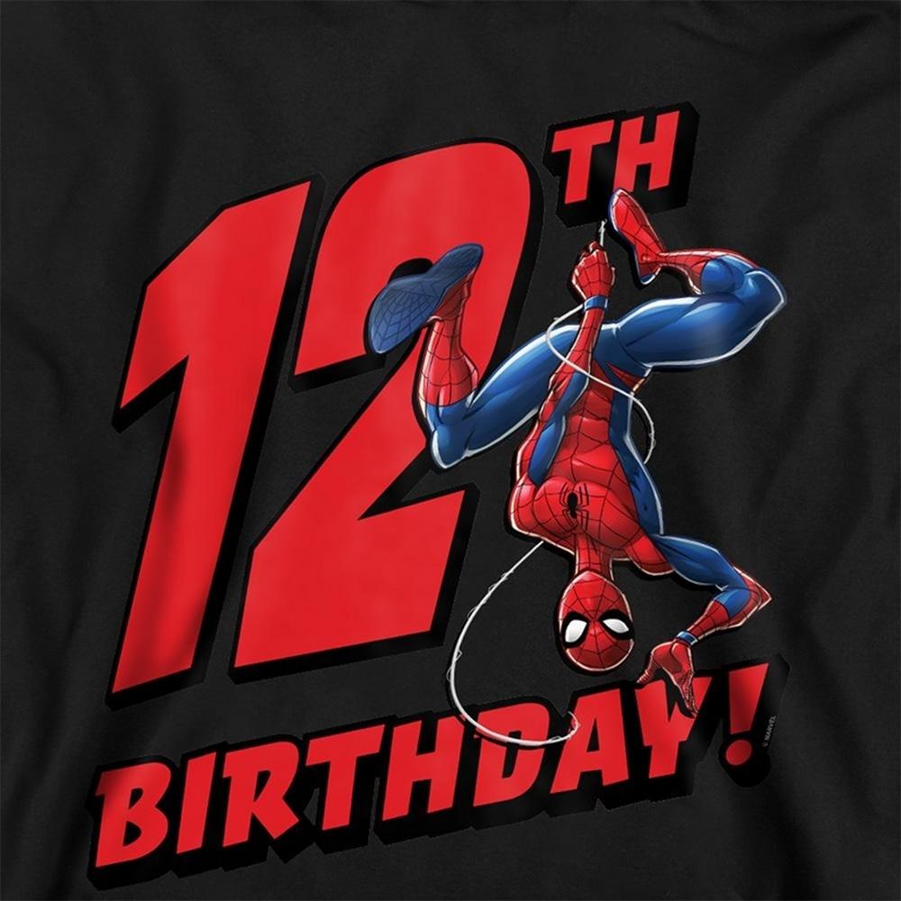 Spider-Man Childrens/Kids Pull Over 12th Birthday Hoodie