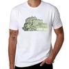 Castle Rock Edinburgh Tshirt Plus Size Everyday Tee Shirt