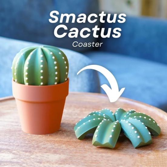 Cactus Coaster Set 3D Printed Cactus Coaster with Flowerpot Holder Funny Desktop Coaster for Plant Lovers Gift Home Office Bar Decoration