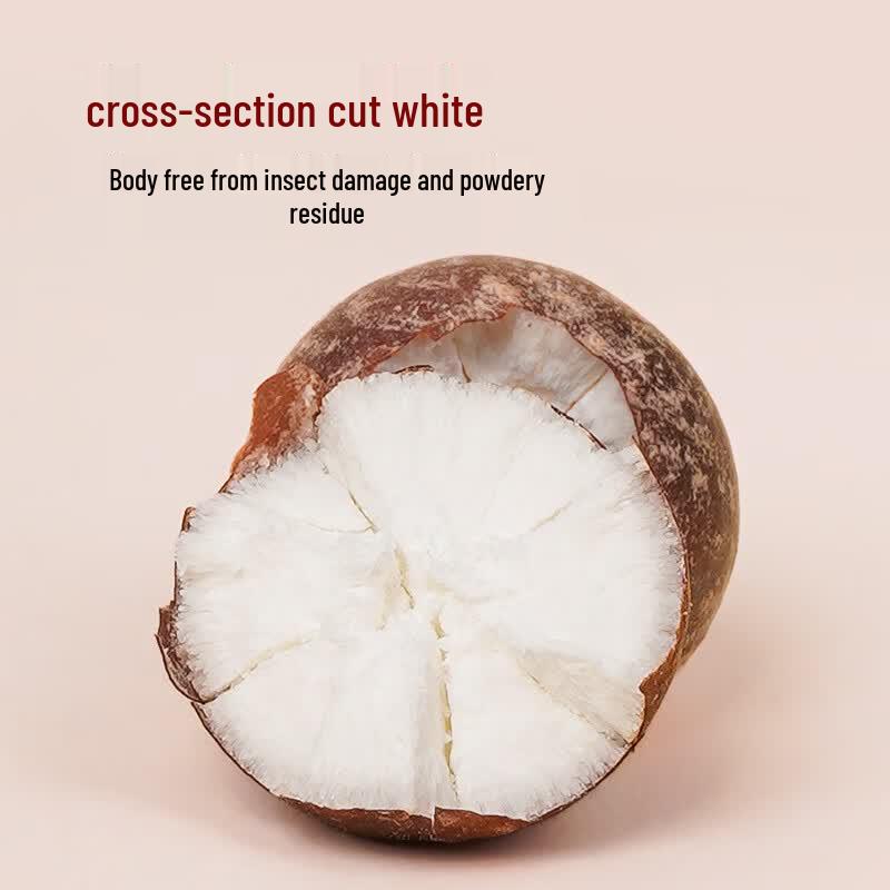 Tong Ren Tang Authentic Zhaoqing Dried Gorgon Fruit