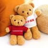 Custom Logo Teddy Bear Plush Toy - Cute Little Bear in Clothes for Gifts & Events