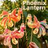 Ancient Chinese Style Bird Handheld Lantern Cartoon Handmade DIY Phoenix Lantern Material Packages New Year Luminous Lantern