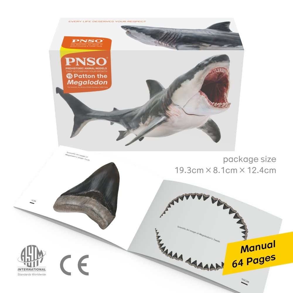 PNSO Prehistoric Animal Model: Megalodon Patton (Big White Shark) 6.2-inch Ancient Sea Monster Toy