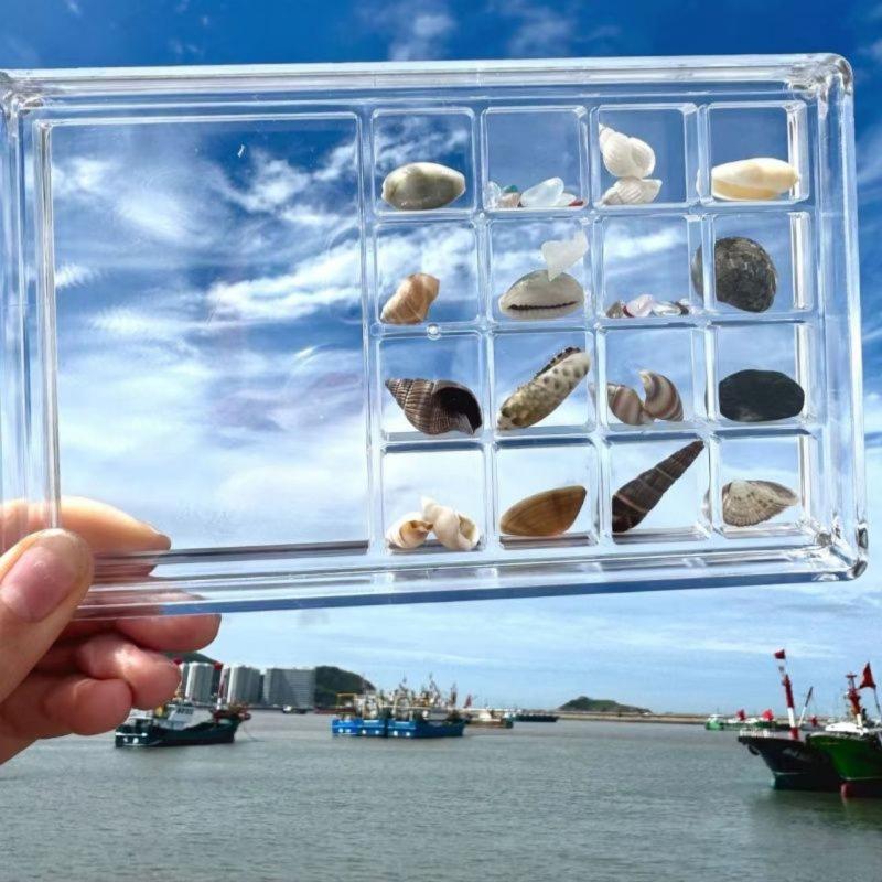 

Acrylic Transparent Shell Storage Box Starfishs Trinket Magnetic Desktop Display Box With Photo Frame