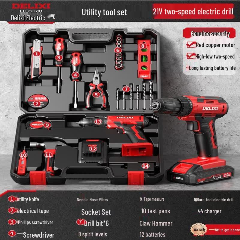 DELIXI Lithium-Ion Cordless Drill & Tool Kit CN plug (adapter included)