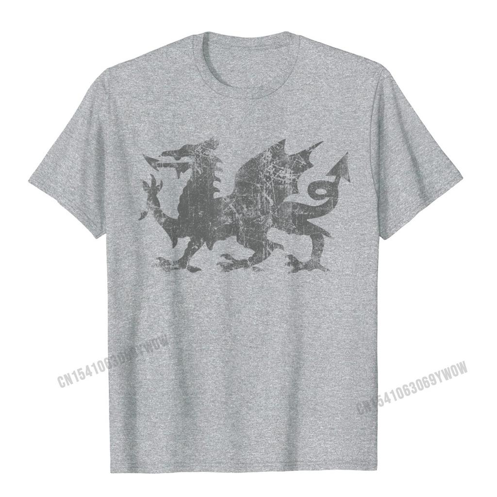Welsh Flag Heraldry Dragon Welsh Soccer St Davids Day Wales TShirt Camisas Unisex 3D Printed Top TShirts For Adult Tops Tees