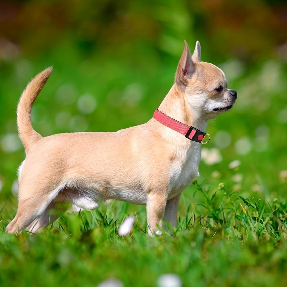 Safety Buckle Reflective Dog Collar Adjustable No Pull Training Collars Small and Medium Dog