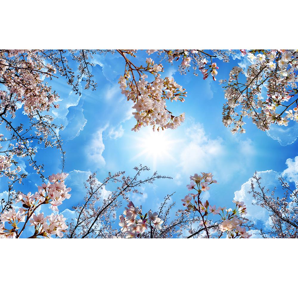 Tapeta na strop obloha Modrá obloha Bílý oblak Nástěnná malba Růžový květ třešně Stropní malba Obývací pokoj Ložnice Tapeta