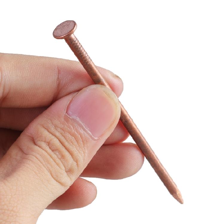 15Pcs Copper Nails for Killing Trees Stump Removal Spikes Tree Stump Killers for Killing Trees Stump Root Enduring