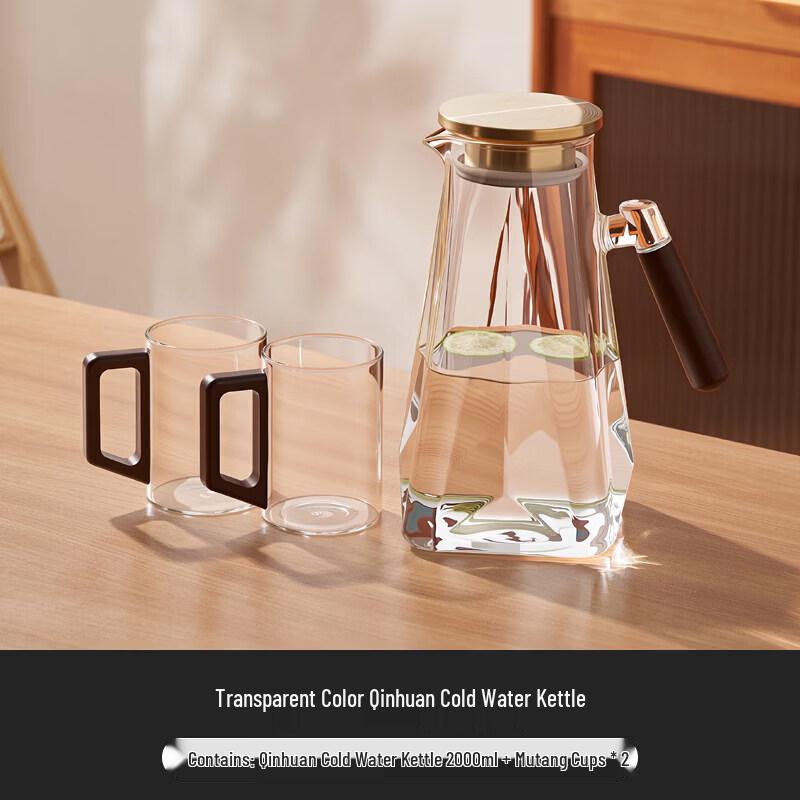 ZISIZ Large Glass Water Pitcher with Filter