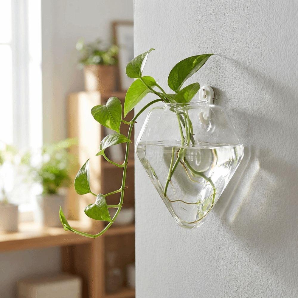 Irregular Shape Hydroponic Vase Wall Mounted Plant Container Glass Vase Living Room