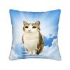 Pillow Cover Green Fruit Space Cat  Fashion Pillow Case For Sofa Home Decor Pillowcases