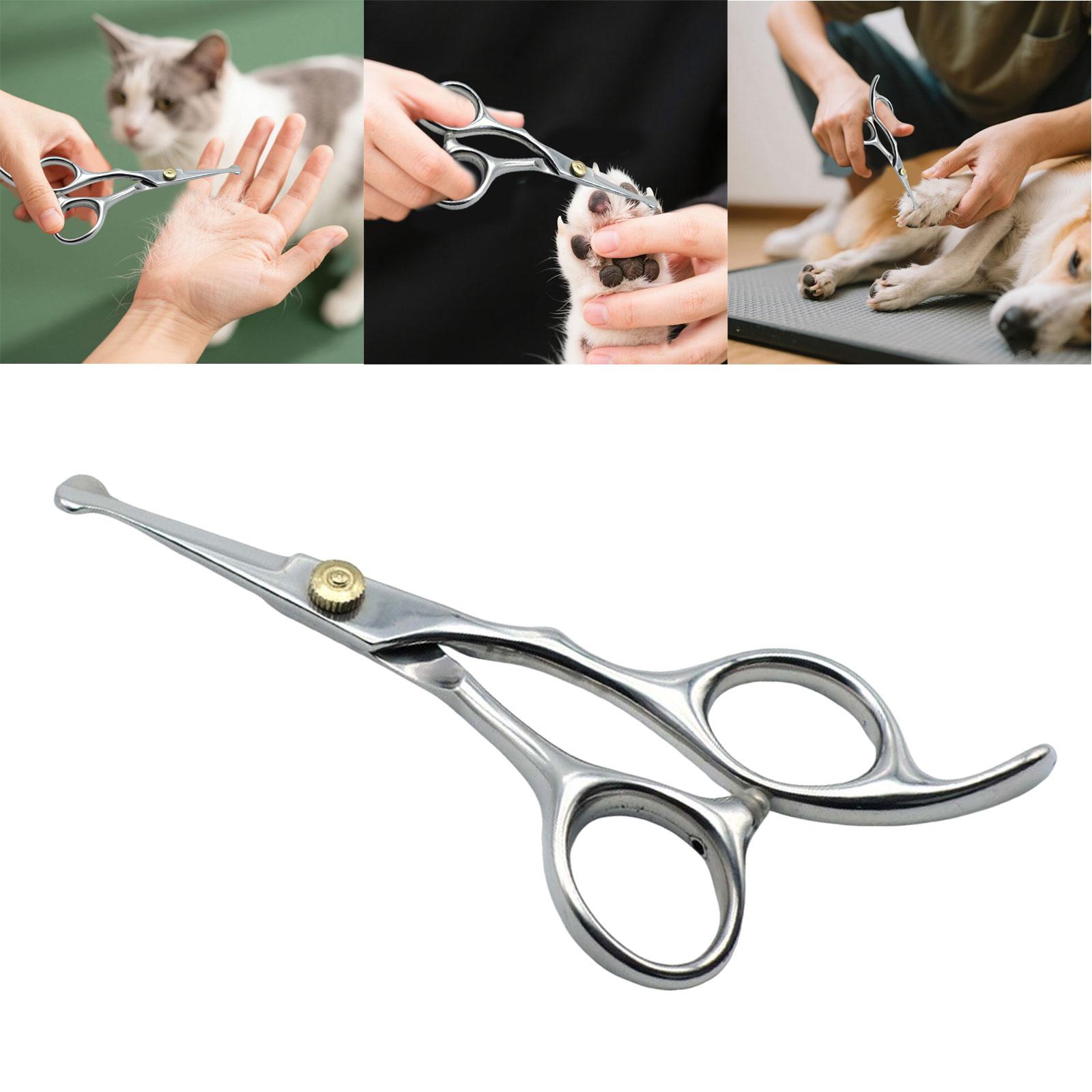 Stainless Steel Round Tip Pet Grooming Scissors With Small Tip 5.0 Dog Accessories Online Shop Fast Shipping (Rose Gold,One Size) розового золота