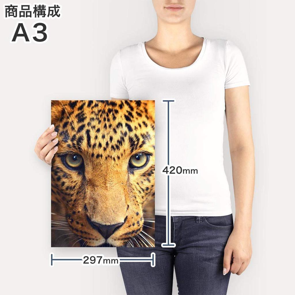 Art 420mm x Wall Wooden Stylish Interior Photo Panel, Picture, Painting, Decoration, igsticker, 297mm, A3, Photo, Hanging, Frame, Decor, 004522,