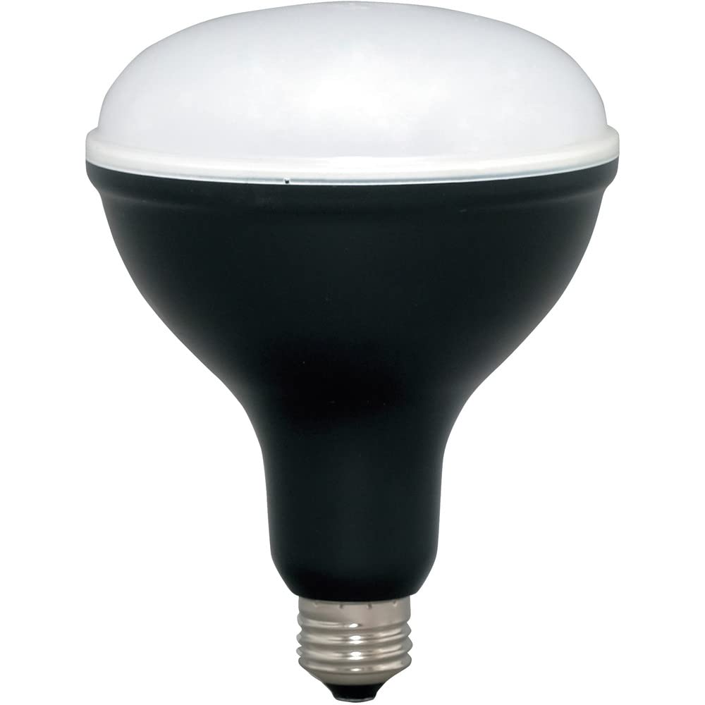 Iris Ohyama LED Work Light Floodlight Replacement Bulb, 1800lm