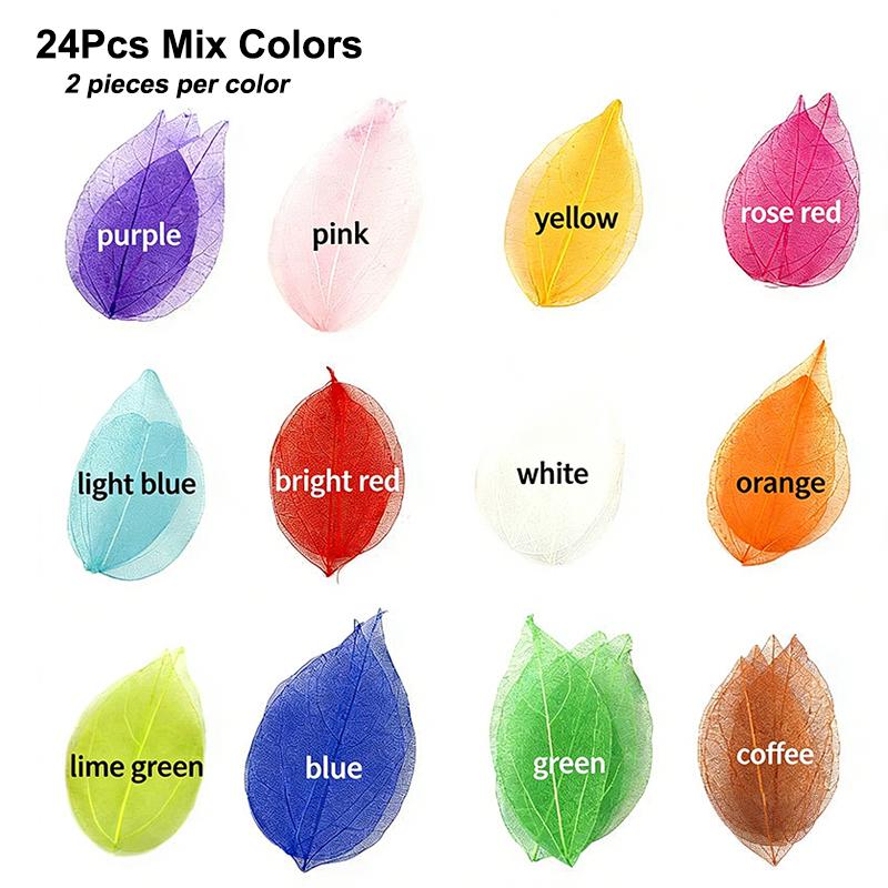 Сушеные цветы Натуральные скелетные листья Жилки DIY Ручная работа Материалы для нейл-арта Цветы Материал для Свадебной вечеринки Домашнего декора - 20/24 шт.