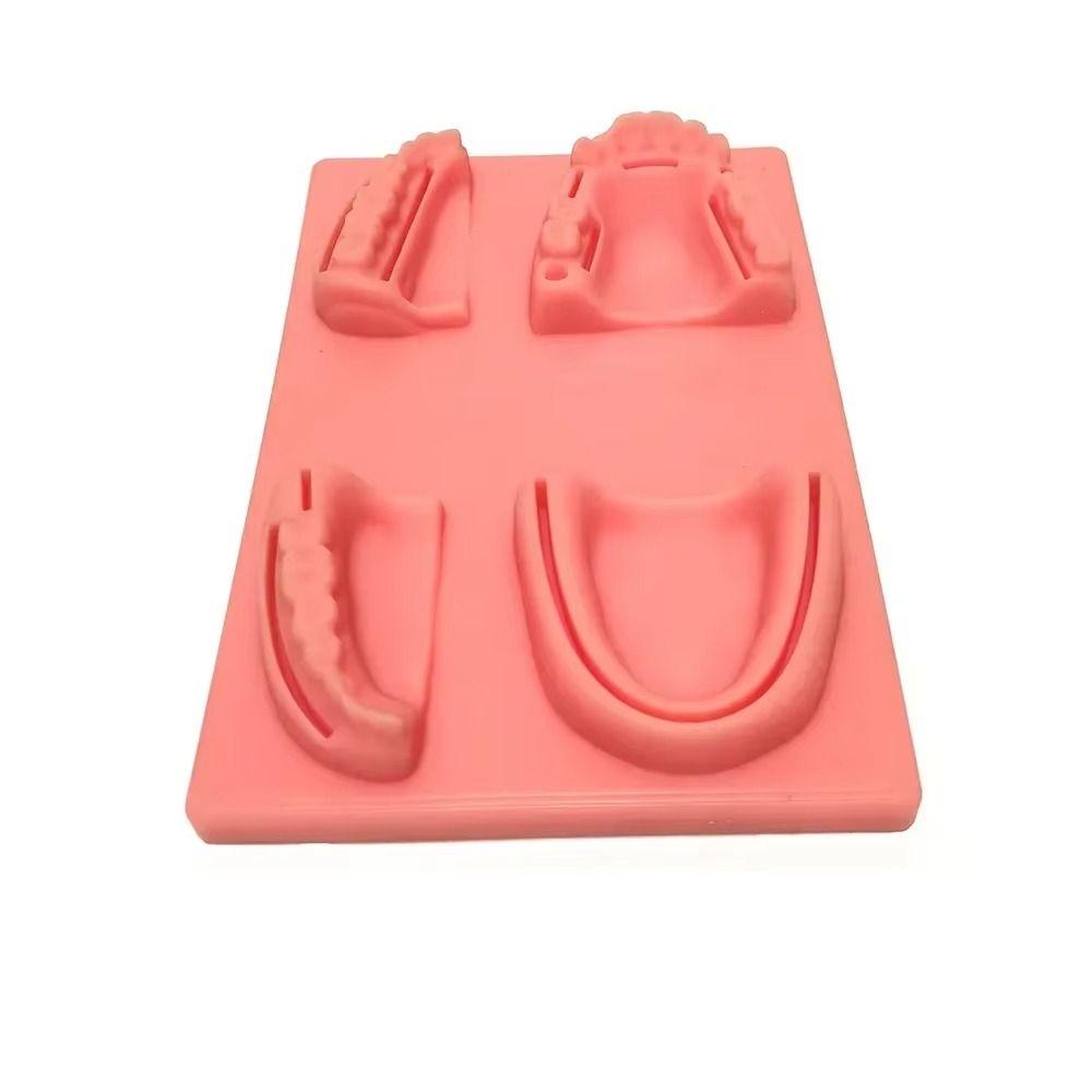 Silikon Zahnlehrmodell 4 Wundtypen Gingivale Naht Trainingsmodell Für Zahnarztunterricht