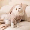 Simple sticker quilting cotton puppy four-legged clothes cute wind bear autumn and winter warm small dog pet cat clothes