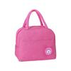 Large Capacity Insulated Lunch & Picnic Bag