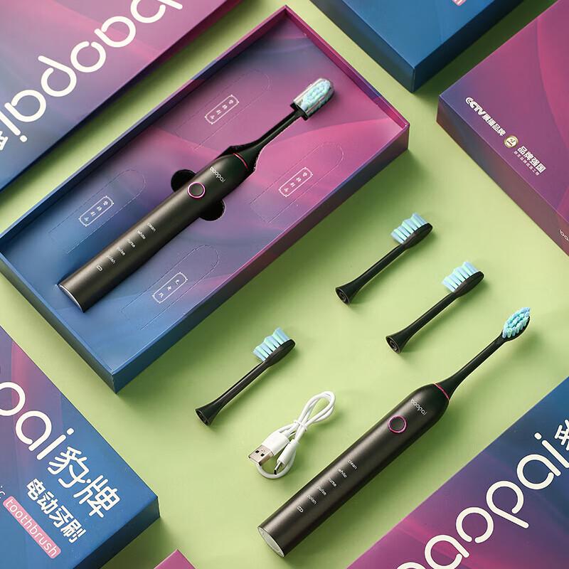 

BAOPAI BP-P2 Magnetic Levitation Sonic Electric Toothbrush