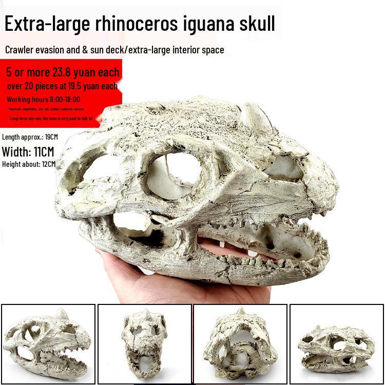 Akril Hüllőtenyésztő Doboz Dekoratív Koponyával