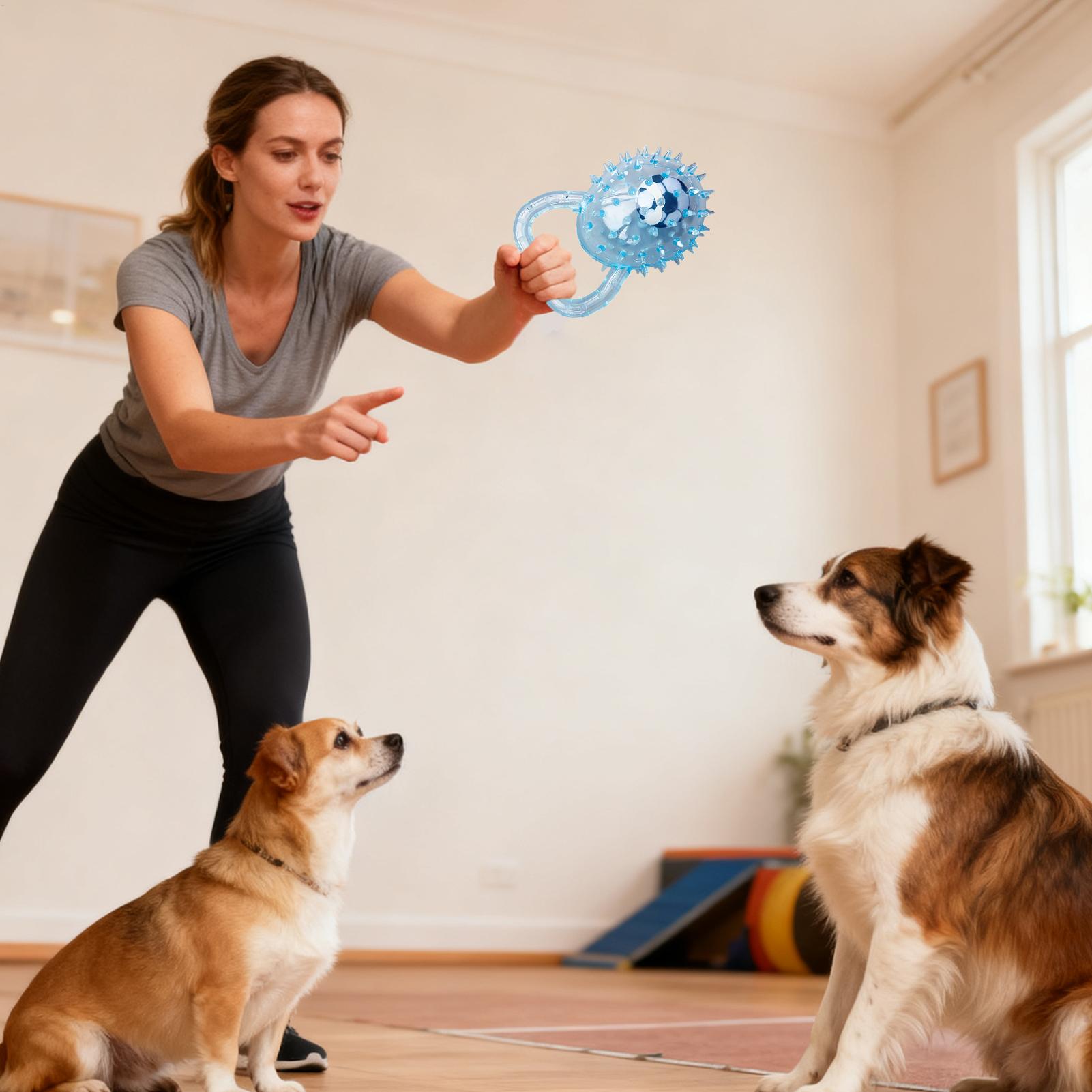 

Spiky Dog Ball Interactive Soft Puppy Pet Chewer Dog Fetch Ball For Teeth Cleaning Boredom Relief Stimulating Toss Fetch China Mainland