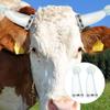 2Pcs Silicone Cattle Horn Protectors Anti Fight Bull Cow Horn Protector for Calf Sheep Farm Accessories Easy to Install