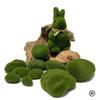 Deko & Wohnaccessoires – Dekorative Terrarien