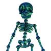 5Pcs 3D Printed Skeleton Refrigerator Magnet Poseable Skeleton Figurine with Movable Joints Halloween Gothic Skeleton Fridge Magnetic Decoration