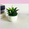 Sinocrassula Indica Artificial Potted Plant Succulent Plant For Home Decor