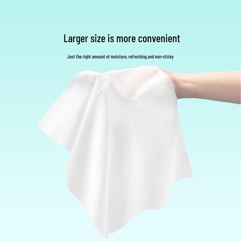 SanZhe Electronics Cleaning Kit