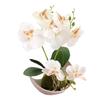 Artificial Orchid Plant Potted Flower Decoration Event Decoration