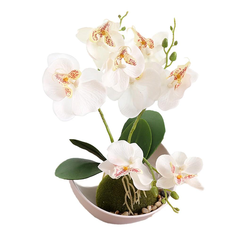 Artificial Orchid Plant Potted Flower Decoration Event Decoration