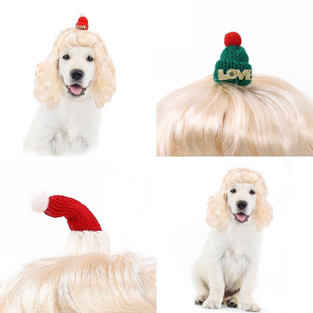 Elegante goldene Licht lange gewellte Haustierperücke Hut für Hunde und Katzen Perfekt für saisonale Partys
