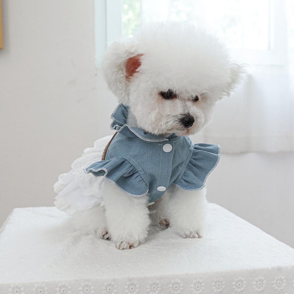 Dziewczęca Jeansowa Sukienka z Rozkloszowanymi Rękawami dla Psa Dżinsowa Kurtka z Kotem Niebieskie Ubranka dla Szczeniąt Małych Psów Ubranka dla Kotów Spódniczka Tortowa Ubranko dla Zwierząt