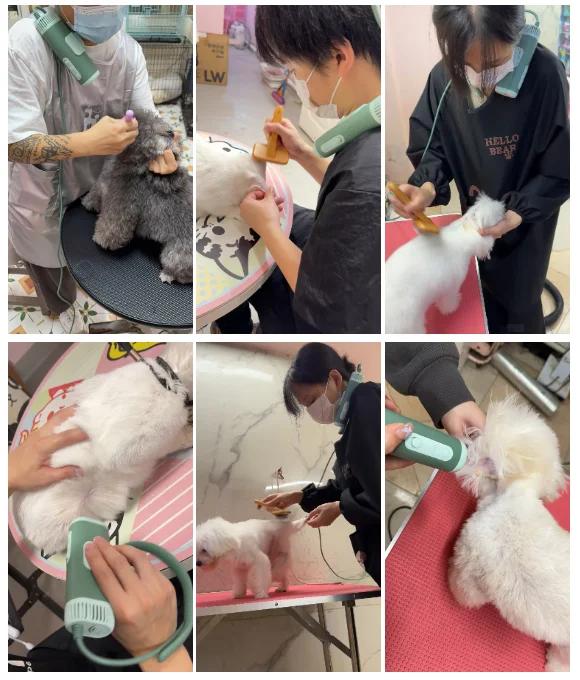 For Pet Hair Dryer High Power Silent Hair Blowing Artifact Large And Small Dog Water Blower Special For Dogs