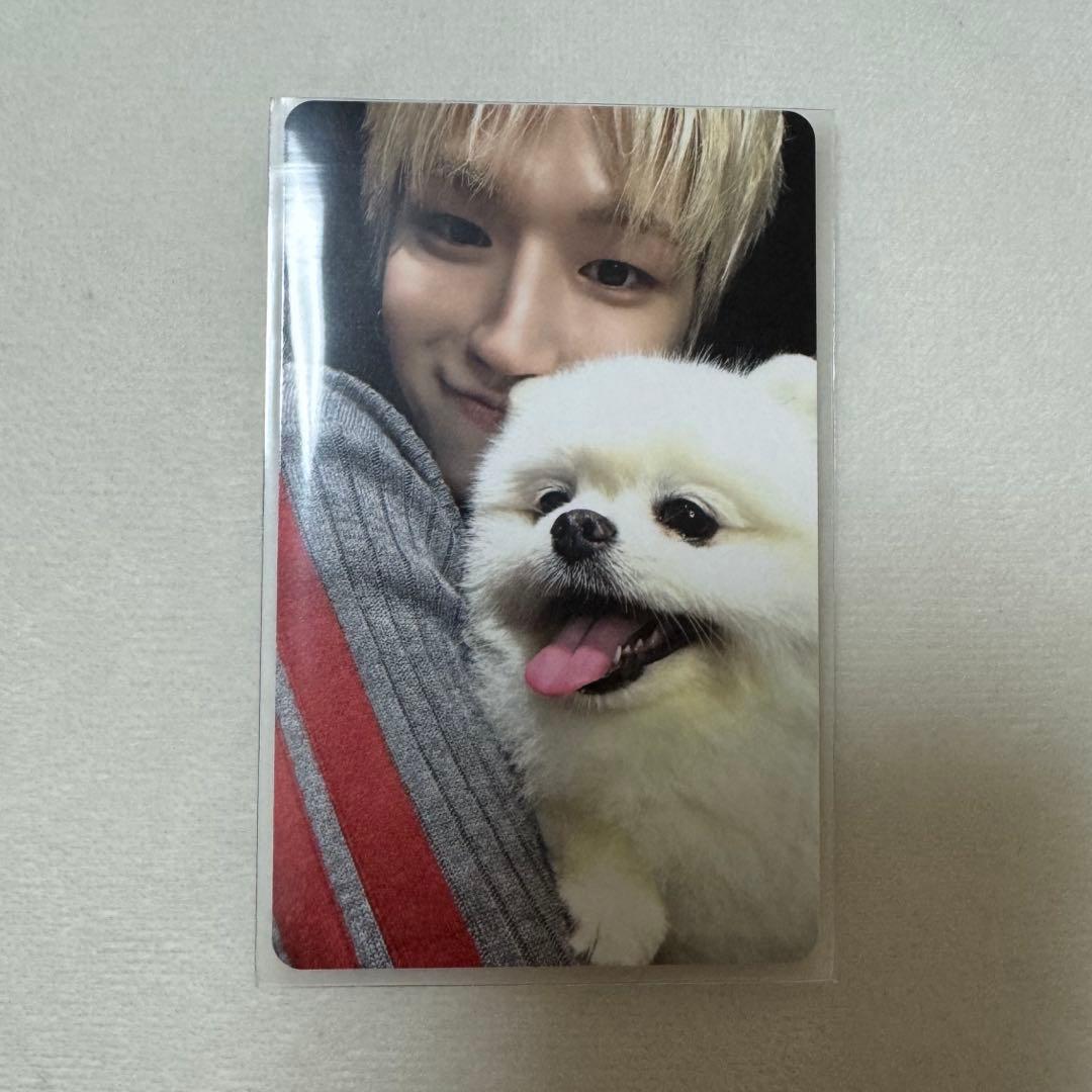 [USED] BOYNEXTDOOR HOME weverse global bonus trading card: Ryu