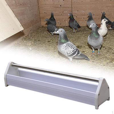 Mangiatoia per piccioni Dispenser di cibo per pollame Facile smontaggio Forniture per uccelli Secchio per pollo Uccello