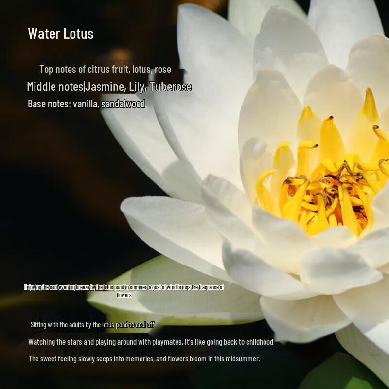 Tesori d'Oriente Water Lily Perfumed Bath Cream Set